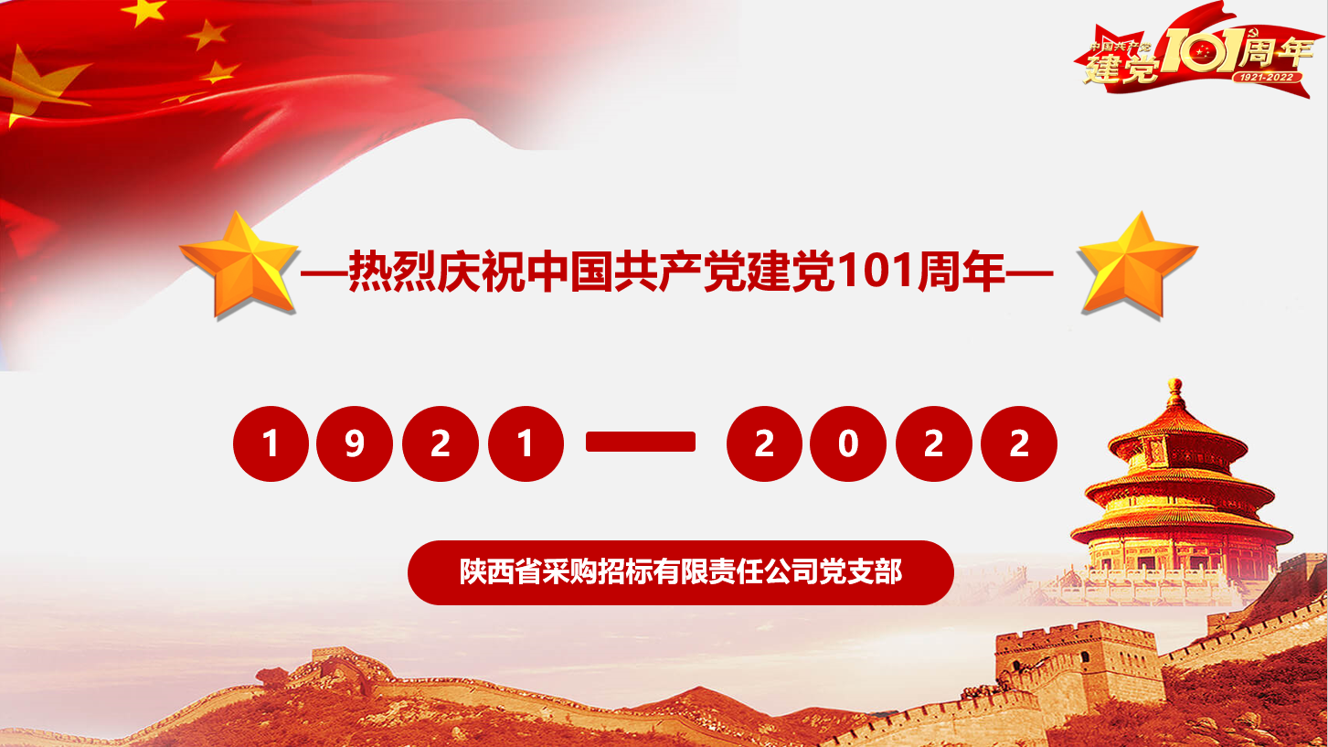 黨支部開展“不忘初心、牢記使命”主題黨日活動